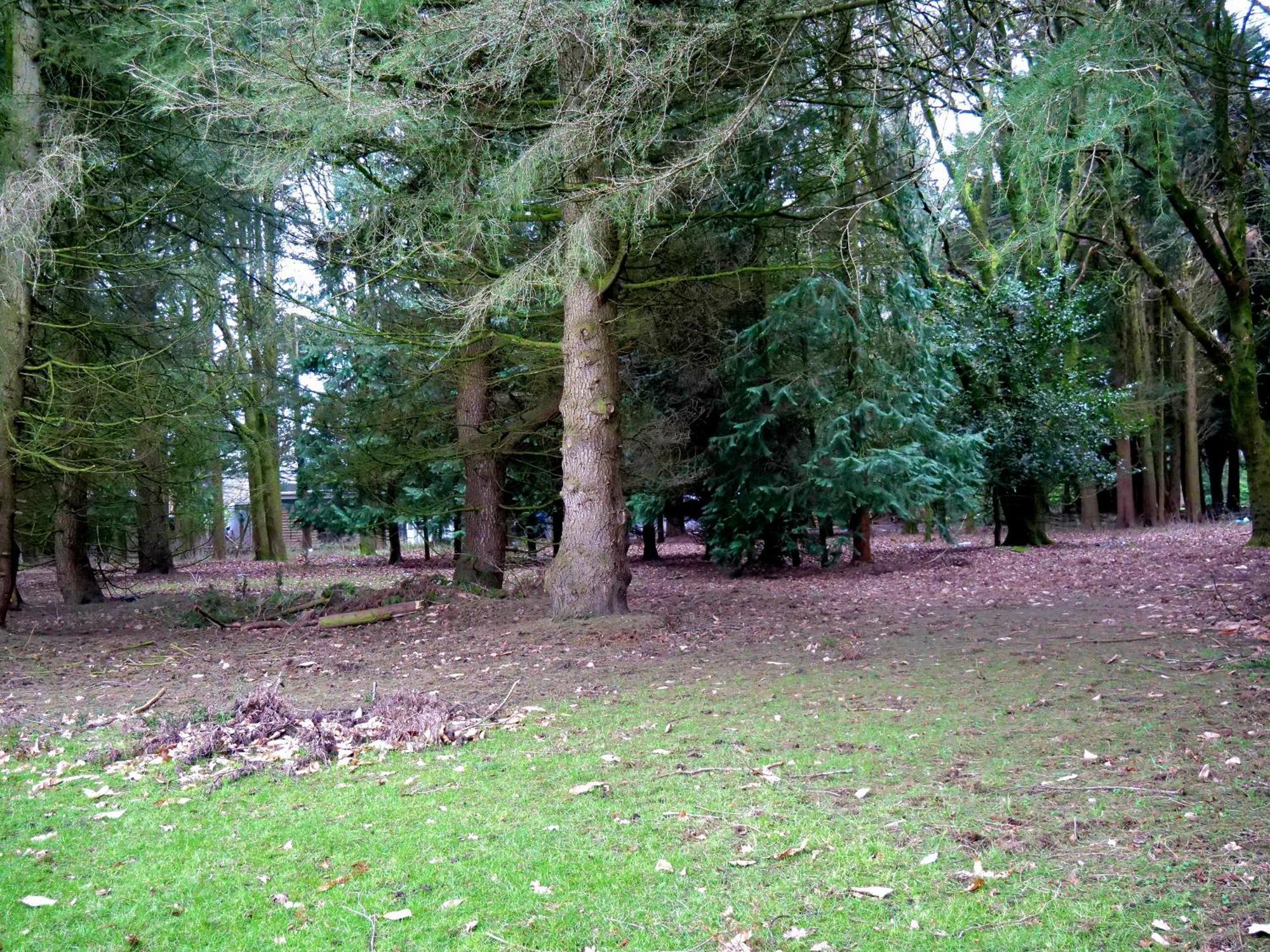 Beautiful Cottage In Brentwood Kelvedon Hatch Exteriör bild